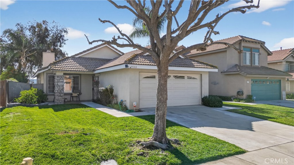 24003 Whistling Swan