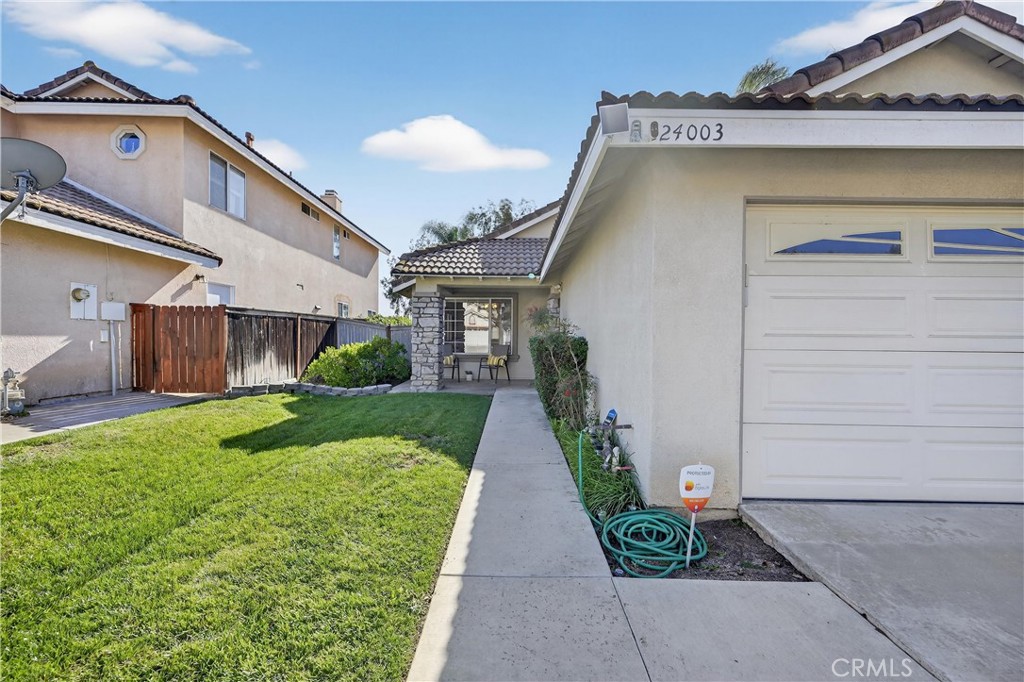 24003 Whistling Swan