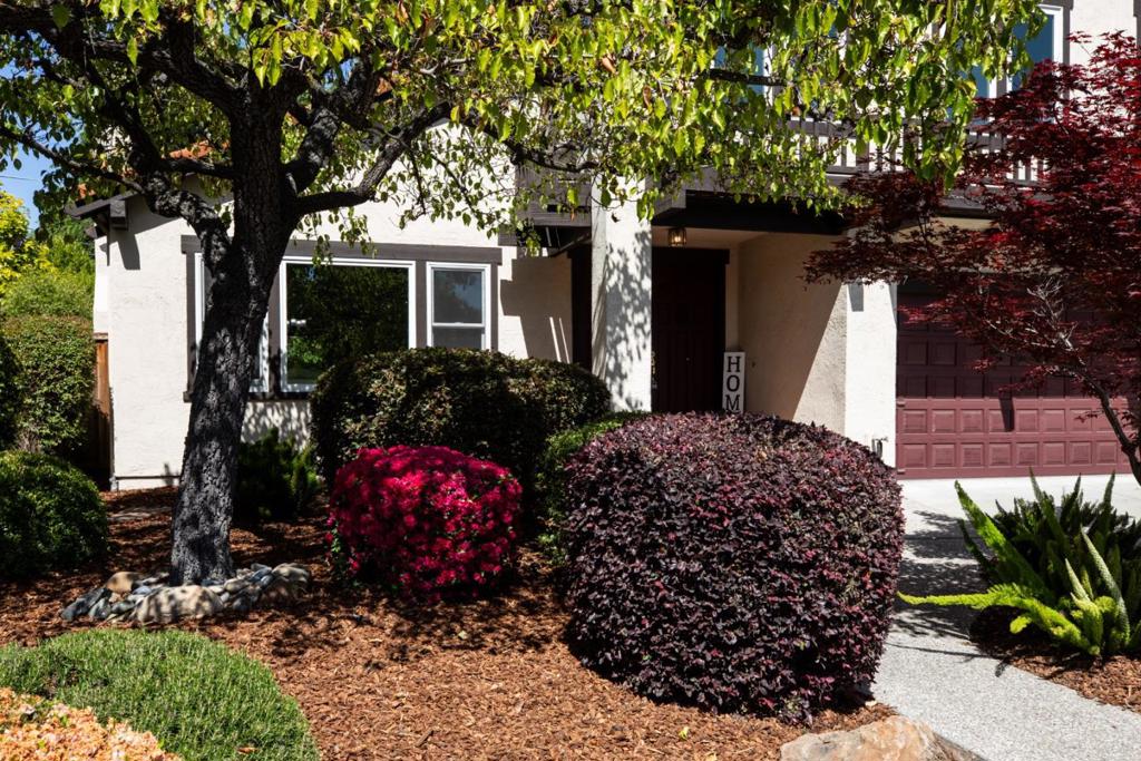 867 Norfolk Pine Avenue