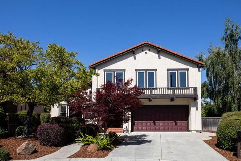 867 Norfolk Pine Avenue Sunnyvale CA 94087