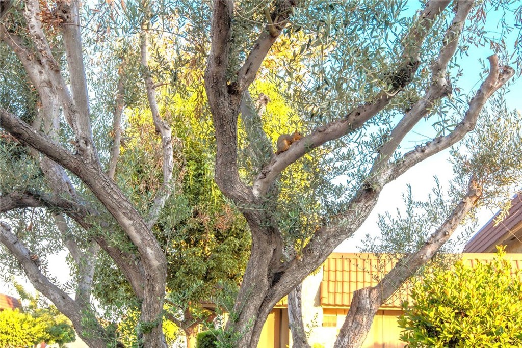 Cypress Village Greens (CYGN) - Residential