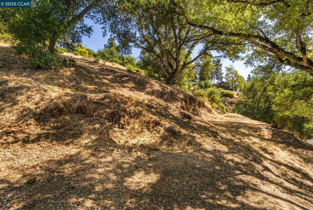 CASTRO VALLEY - Residential