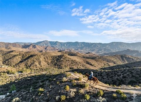 Photo of 32901 Hawley Road, Acton, CA 93510 (MLS # SR25231956)