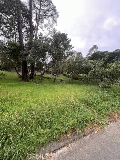 Tiny photo for 0 Mills, Cambria, CA 93428 (MLS # NS26083410)