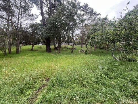 Tiny photo for 0 Mills, Cambria, CA 93428 (MLS # NS26083410)