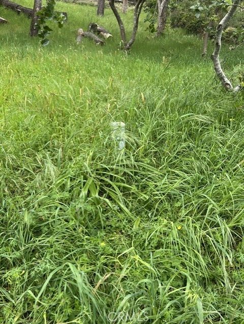 Tiny photo for 0 Mills, Cambria, CA 93428 (MLS # NS26083410)