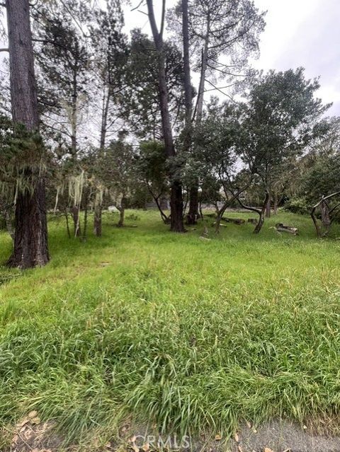 Tiny photo for 0 Mills, Cambria, CA 93428 (MLS # NS26083410)