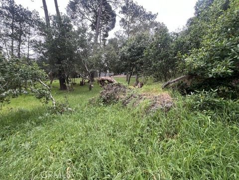 Tiny photo for 0 Mills, Cambria, CA 93428 (MLS # NS26083410)