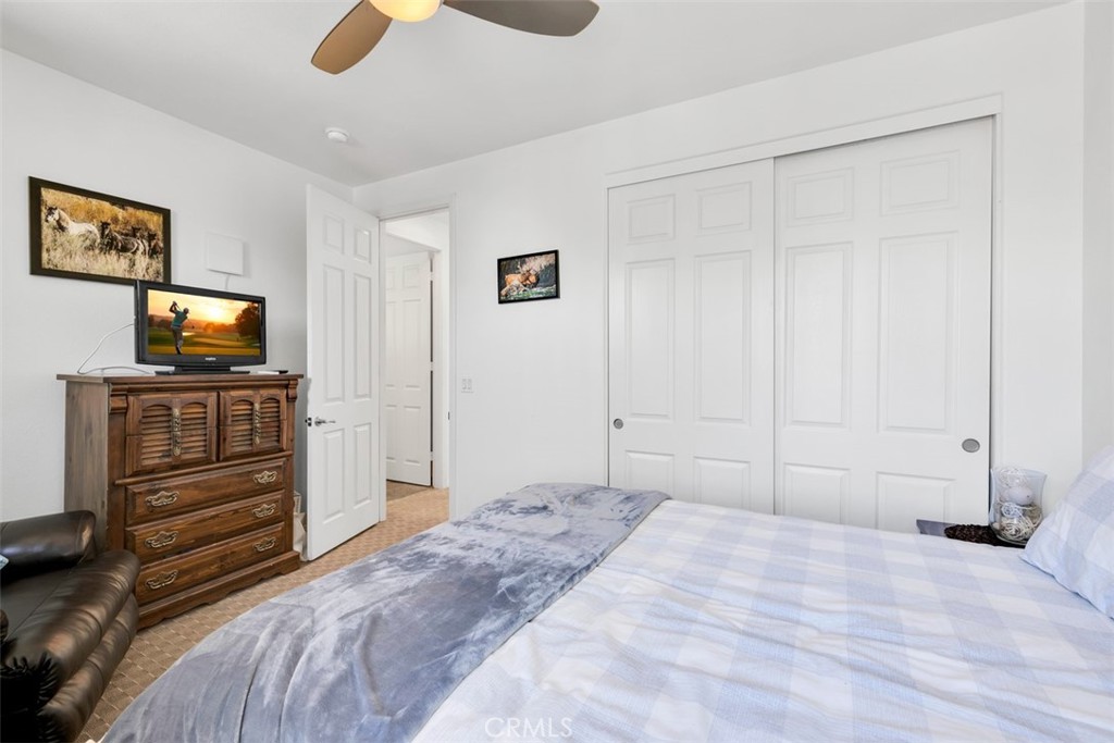 Cimarron Cove (33536) - Residential