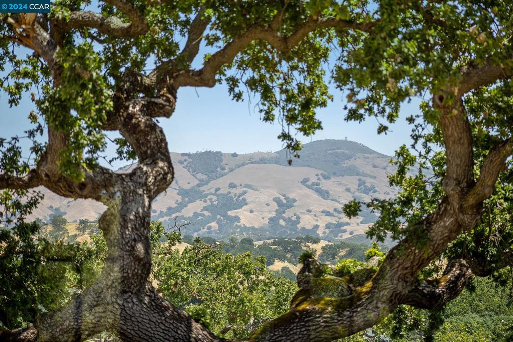 EL PINTADO - Residential