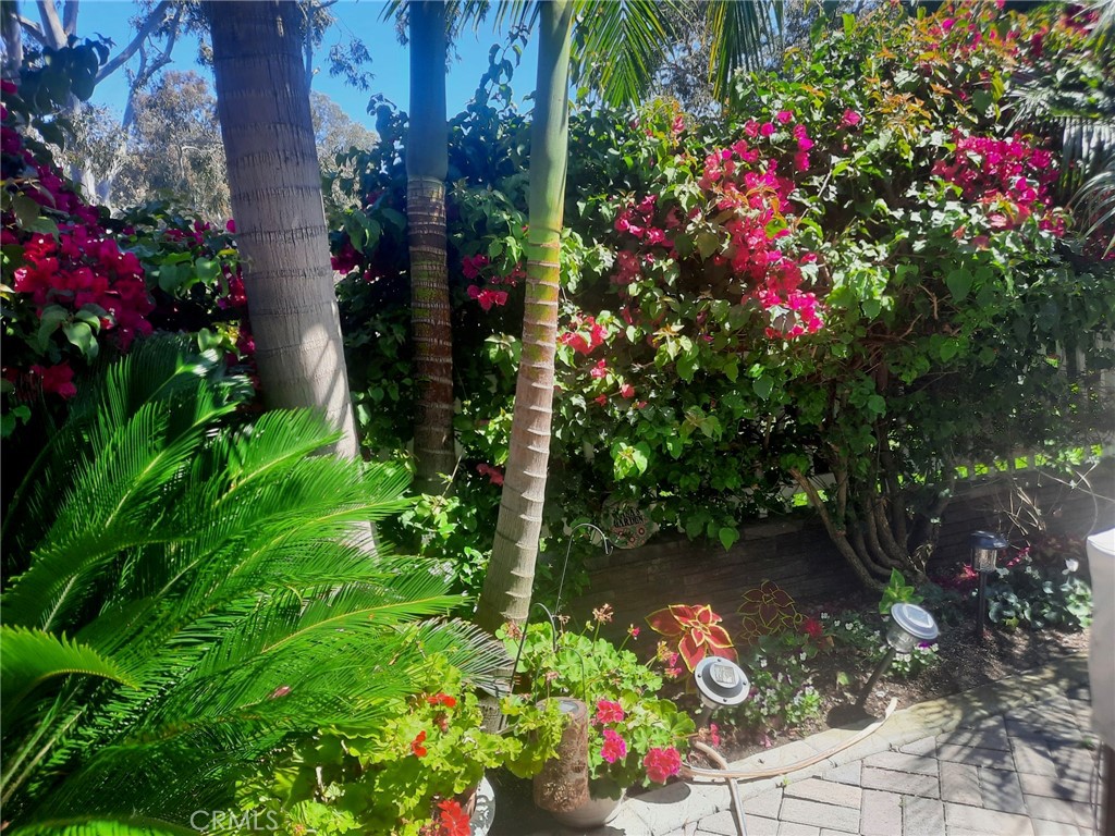 Park Niguel (PN) - Residential