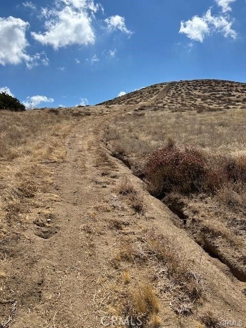 Custom Acton (CACTO) - Land