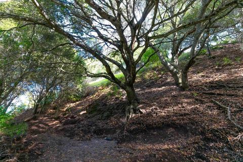 Photo of 20 Lucille Way, Orinda, CA 94563 (MLS # 41136662)
