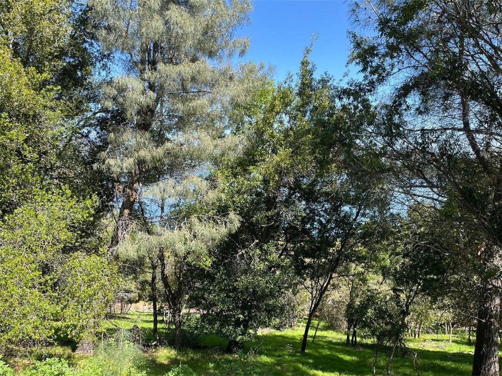 8452 Soda Bay Road