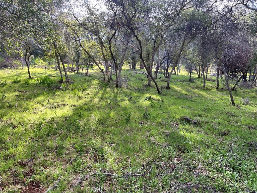 8452 Soda Bay Road