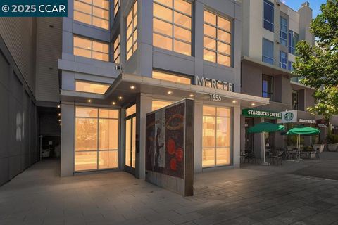 1655 N CALIFORNIA BLVD 222 Walnut Creek CA 94596