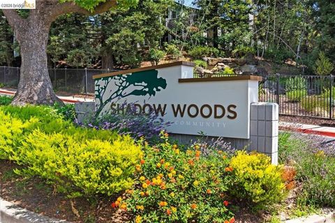 Photo of 660 Canyon Oaks Dr DR #B, Oakland, CA 94605 (MLS # 41138709)