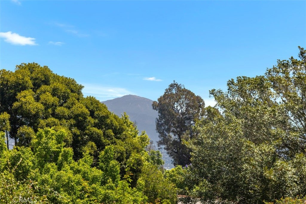 4025 Calle Sonora Este 1C, Laguna Woods CA 92637 - Photo 22