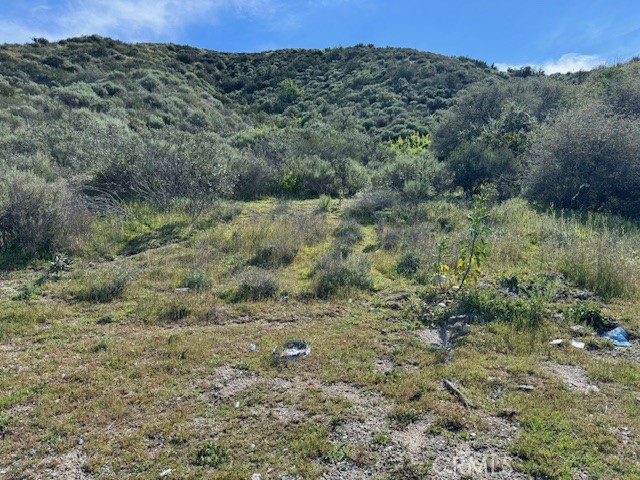 17930 Scherzinger Lane