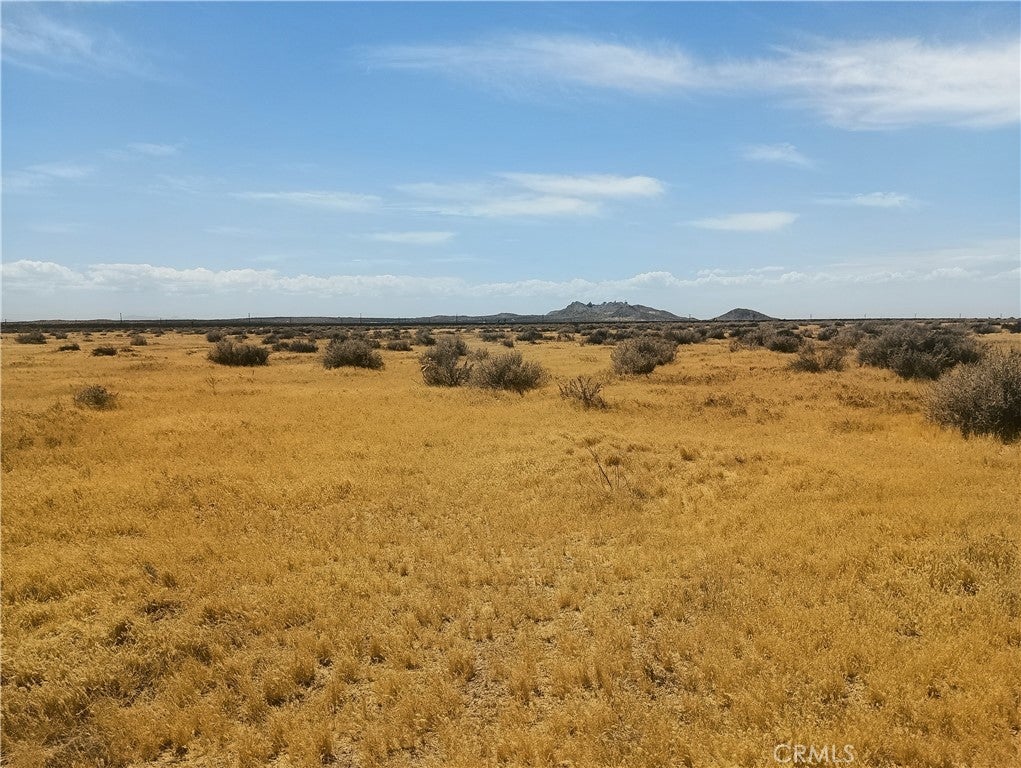 125 Old Hwy 58 (near)