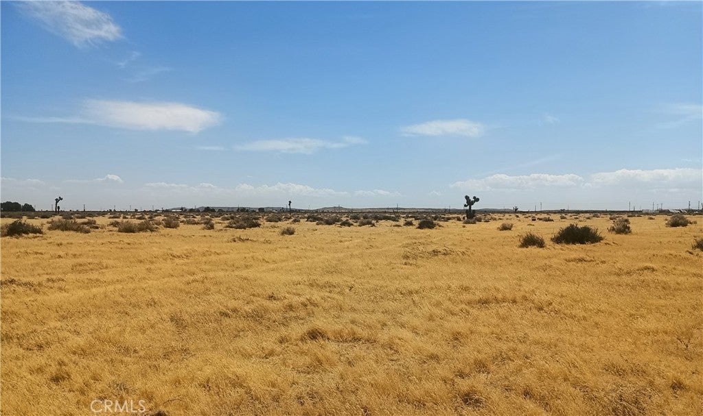 125 Old Hwy 58 (near)
