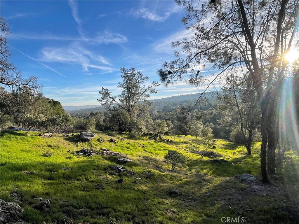 1220 Corral Drive