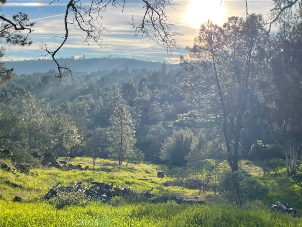 1220 Corral Drive