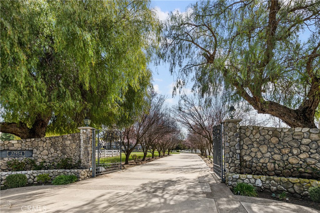 37954 Calle de Lobo