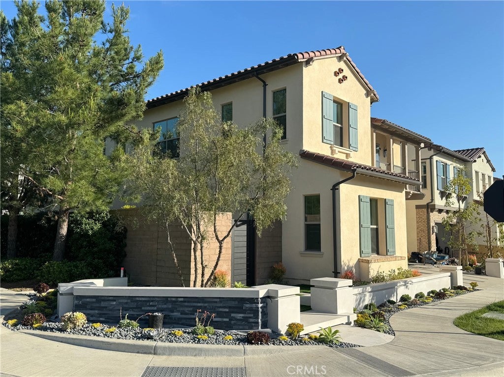 62 Cardamine
