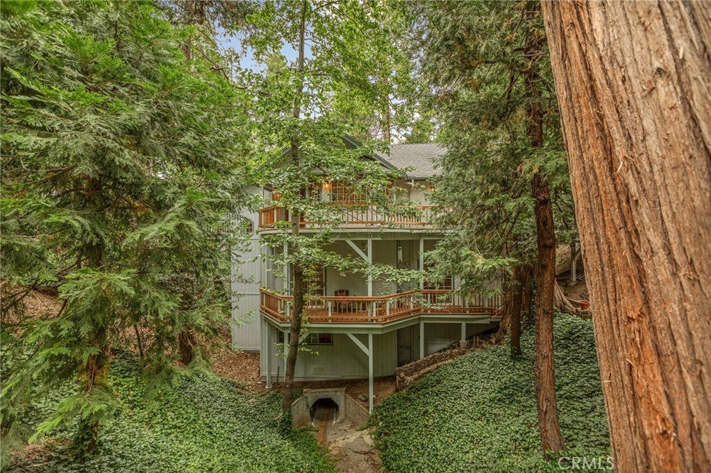 24376 Horst Drive