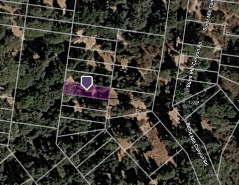 Photo of 0 Burnt Mill Canyon Road, Cedarpines Park, CA 92322 (MLS # PW26057409)