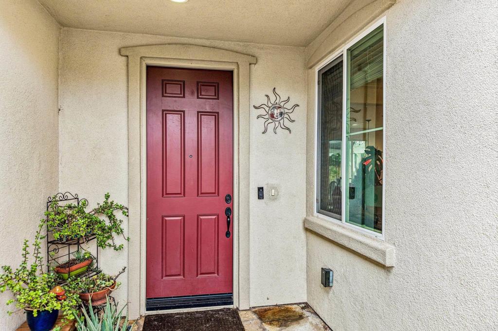 31482 Partridgeberry Drive