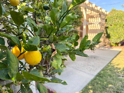 Tiny photo for 5392 Queens Street, Ventura, CA 93003 (MLS # V1-38096)