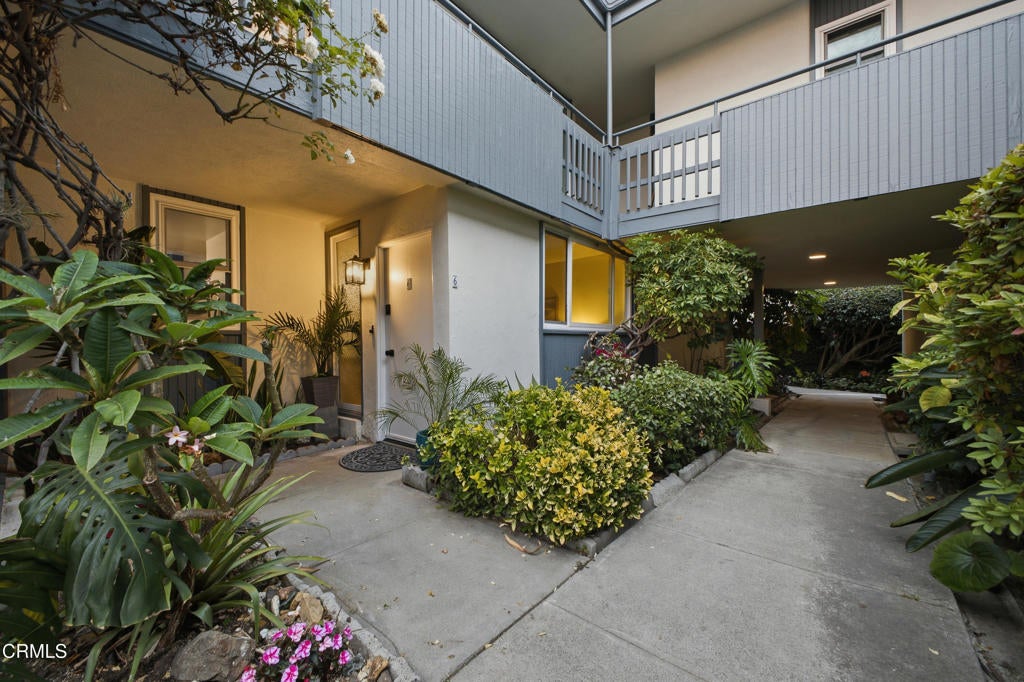 245 Aster Street