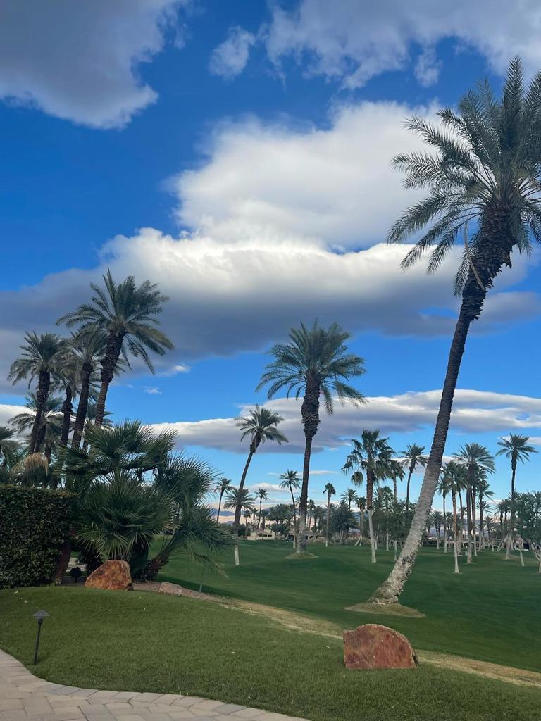 The Palms - Residential