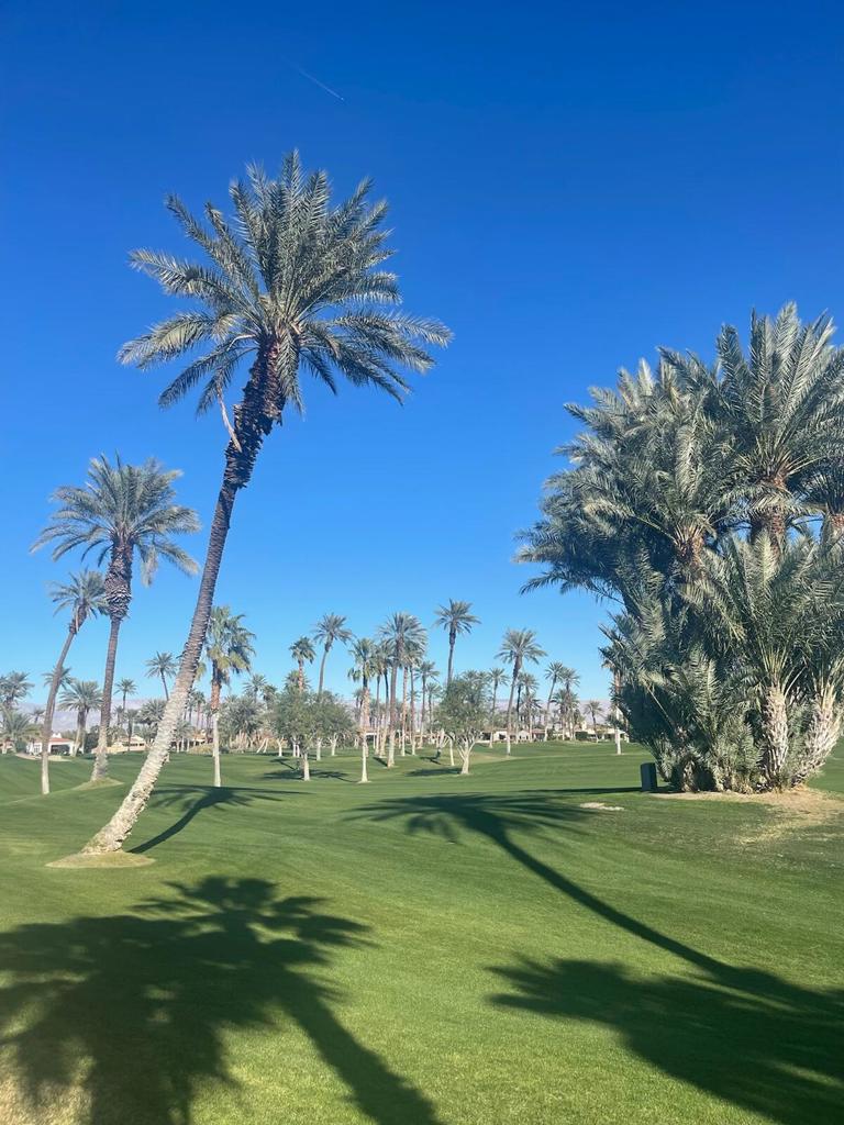 The Palms - Residential