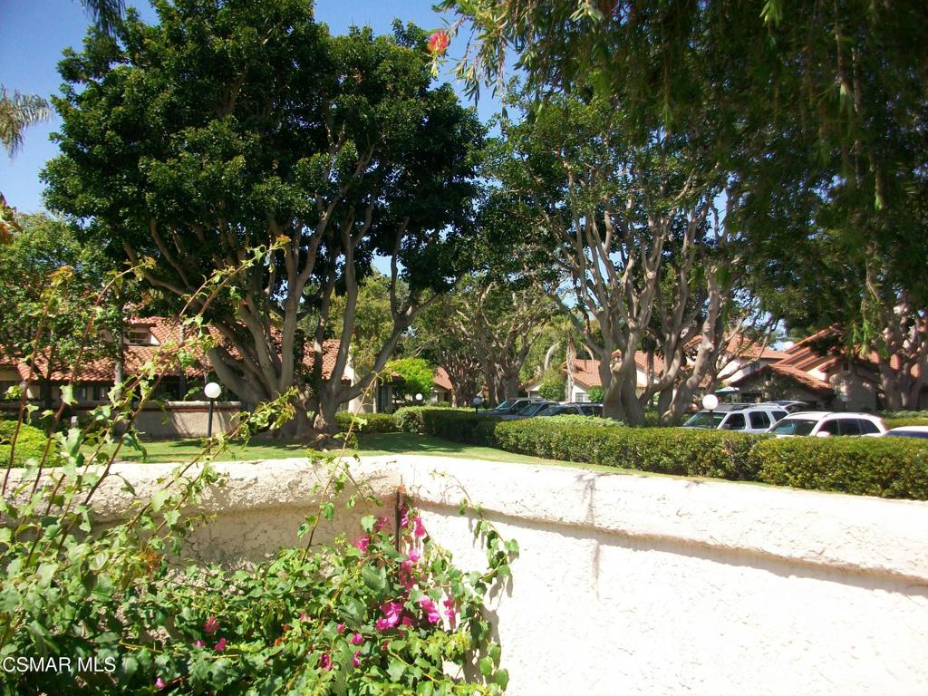 Las Palomas 1 - 333901 - Residential