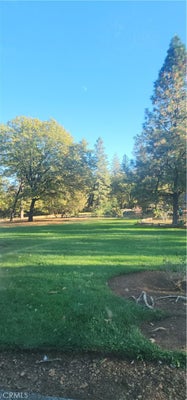 14900 WOODLAND PARK DR, FOREST RANCH, CA 95942 - Image 3c8a8f2b8f6f3e54eeadbd0705fdbfc0/686993260