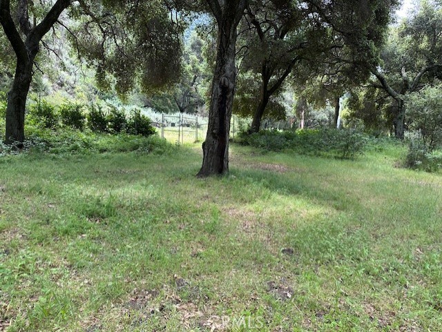 Tepusquet Canyon property nestled in Colson Canyon on Colson Canyon Rd. Located in rural Santa Maria there is a very old stone structure on the property that is believed to be over 100 years old. There is a lot of potential on this 41 acre property. Some flat land, about 3 or 4 acres, seasonal creek and mountain view. Come build a primary residence or vacation retreat. Electrical on edge of property. Old spring somewhere.Adjoins BLM land