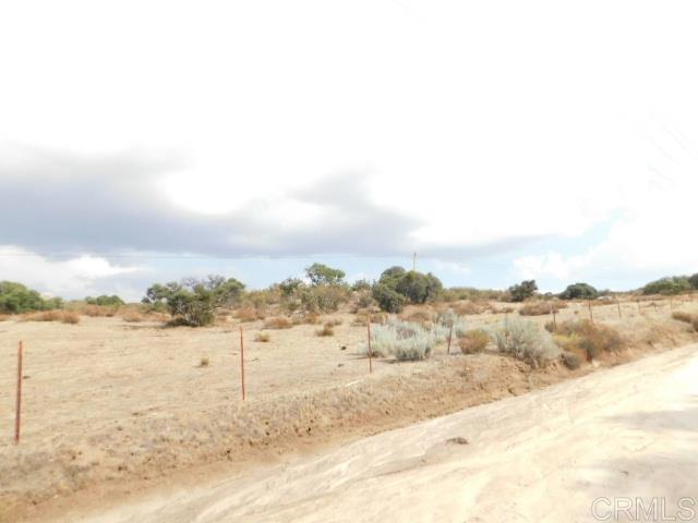 Beautiful Cameron Valley, where the happy cows graze. 66.2 pristine acres overlooking the valley. Could possibly be certified organic with the proper application to the County of San Diego. Fully fenced. Good wells and nice homes in the area. Some oaks and native brush. This neighborhood is peaceful and quiet with the exception of an occasional moo or whinny. The views are stunning! Previously used for grazing cows. Easy access off Cameron Truck Trail from Old Hwy 80 or off Buckman Springs Rd. Vacant land financing available. Very cooperative broker will courtesy show for you.