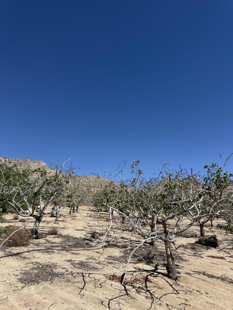 Not Applicable-1 - Residential