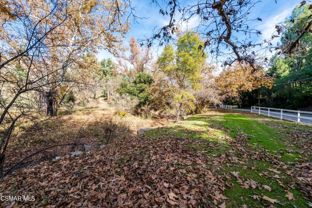 31415 Lobo Canyon Road