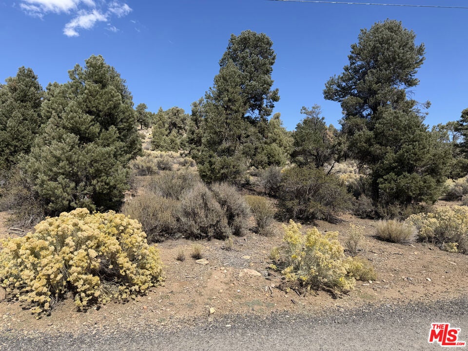 0 Falling Springs Road