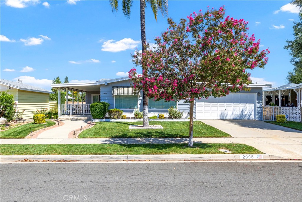 2908 Jacaranda Way