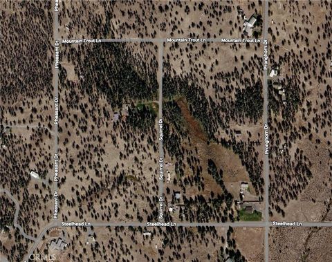 Photo of 0 Pheasant Drive, Alturas, CA 96101 (MLS # DW26103419)