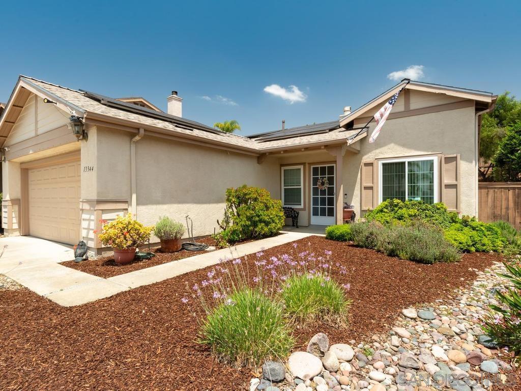 13344 Goldentop