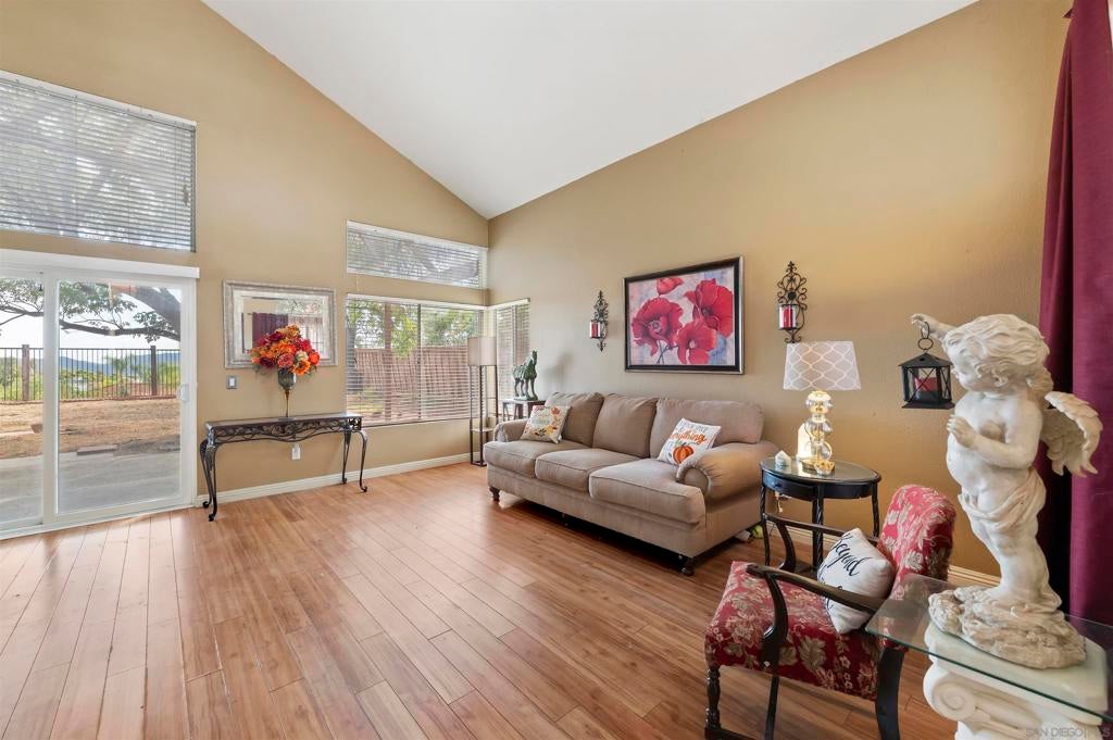 24509 Pantera Ct