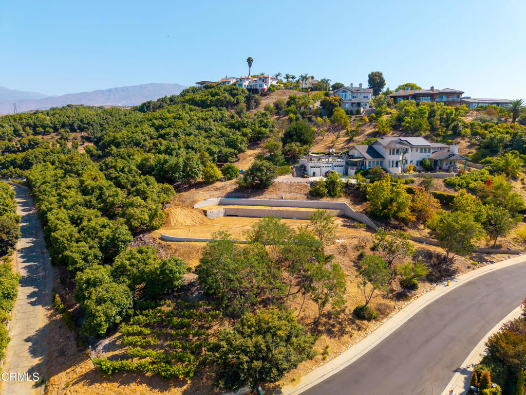 Nestled along the picturesque hillside of Santa Paula, this vacant lot offers a unique opportunity to build your dream home with breathtaking views! Spanning over half an acre in the Highland Estates, this generous sized lot is surrounded by natural beauty and offers a peaceful, serene atmosphere. Much of the ground work has already begun, with retaining walls in place, site grading and drainage installed, geotechnical reports and working house plans to construct a stunningly modern two story hillside home. Enjoy a variety of citrus and fruit trees on the lot ranging from avocado, banana, fig, pink grapefruit and lemon! Perfect for those seeking privacy and a connection with nature, yet still conveniently located near historic Main Street and Downtown Santa Paula. Don't miss this chance to create your own hillside haven!