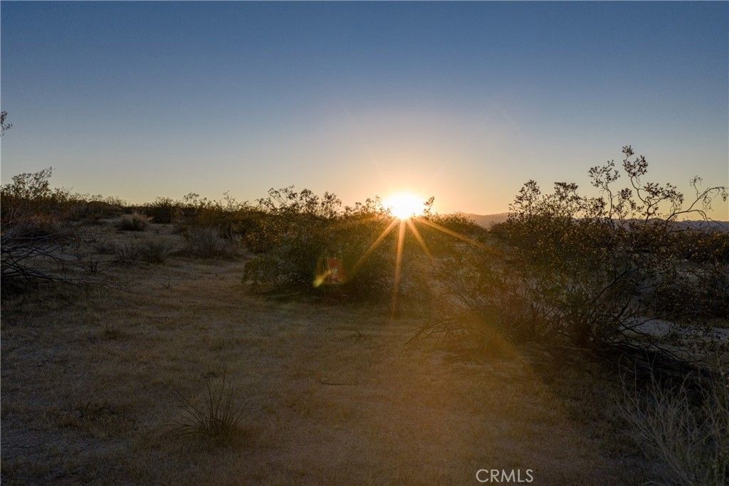 Photo of 4444 29 Palms, Joshua Tree, CA 92252 (MLS # JT26063260)