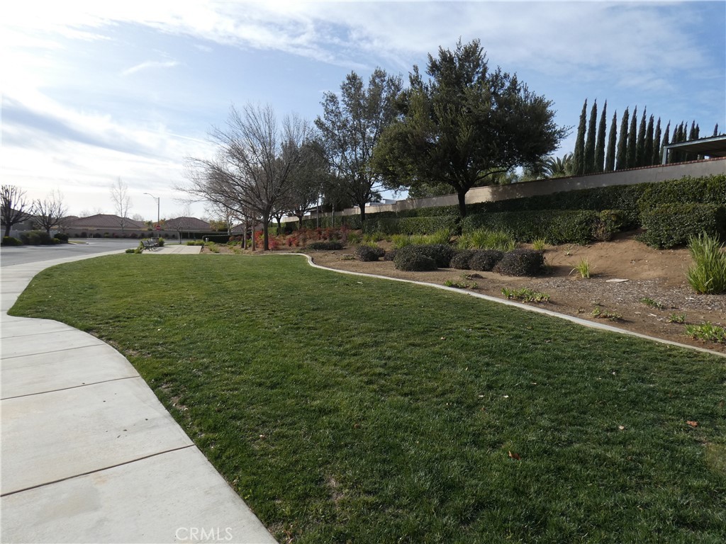 1776 Desert Almond Way